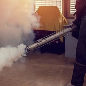 EMERGENCY BED BUG REMOVAL