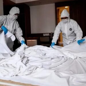 EMERGENCY BED BUG REMOVAL