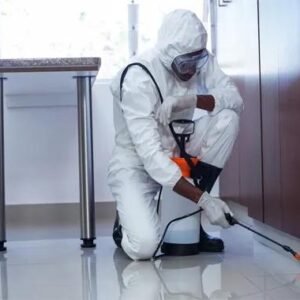 COMMERCIAL BED BUG CONTROL