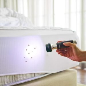 MATTRESS & FURNITURE TREATMENT