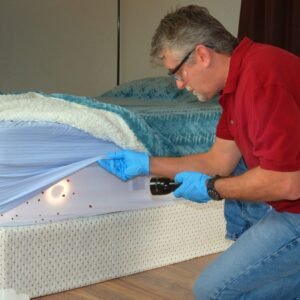 Bed Bug Inspection