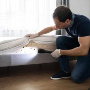 MATTRESS & FURNITURE TREATMENT