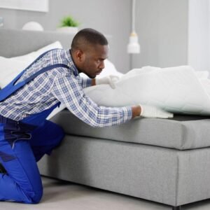 Bed Bug Inspection