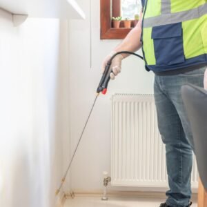 BED BUG TREATMENT MANCHESTER