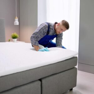 BED BUG TREATMENT MANCHESTER