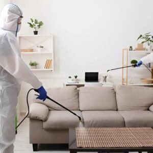 BED BUG TREATMENT MANCHESTER