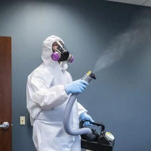 CHEMICAL BED BUG TREATMENT