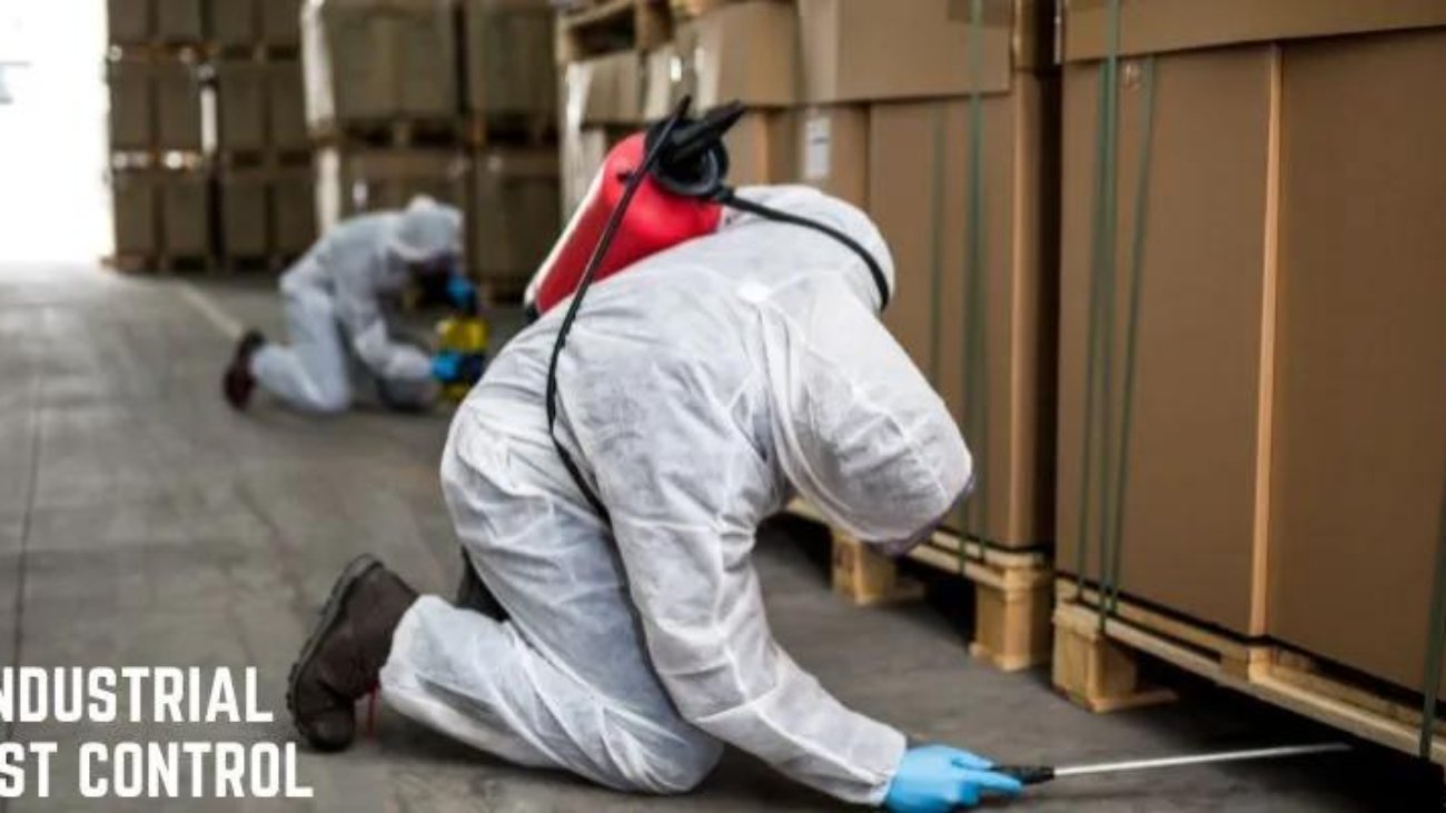 Commercial Bed Bug Treatment Leeds 5