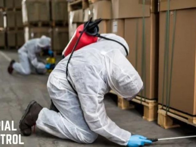 Commercial Bed Bug Treatment Leeds 5