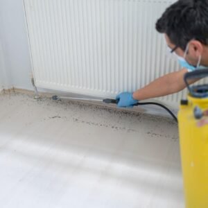BED BUG TREATMENT SHEFFIELD