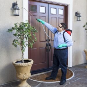 BED BUG TREATMENT WAKEFIELD