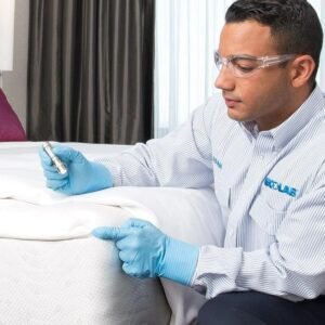 Bed Bug Inspection