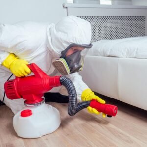 BedBug Treatment Leeds