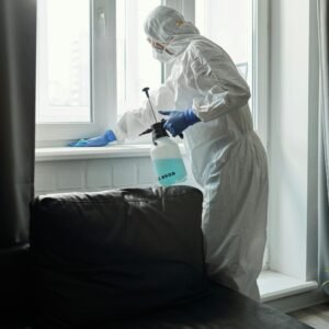 CHEMICAL BED BUG TREATMENT